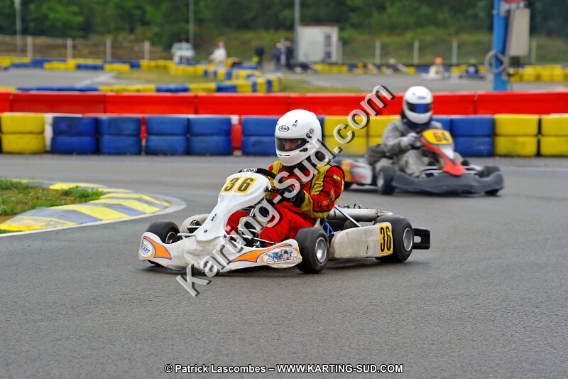 DSC_ (1032).jpg
